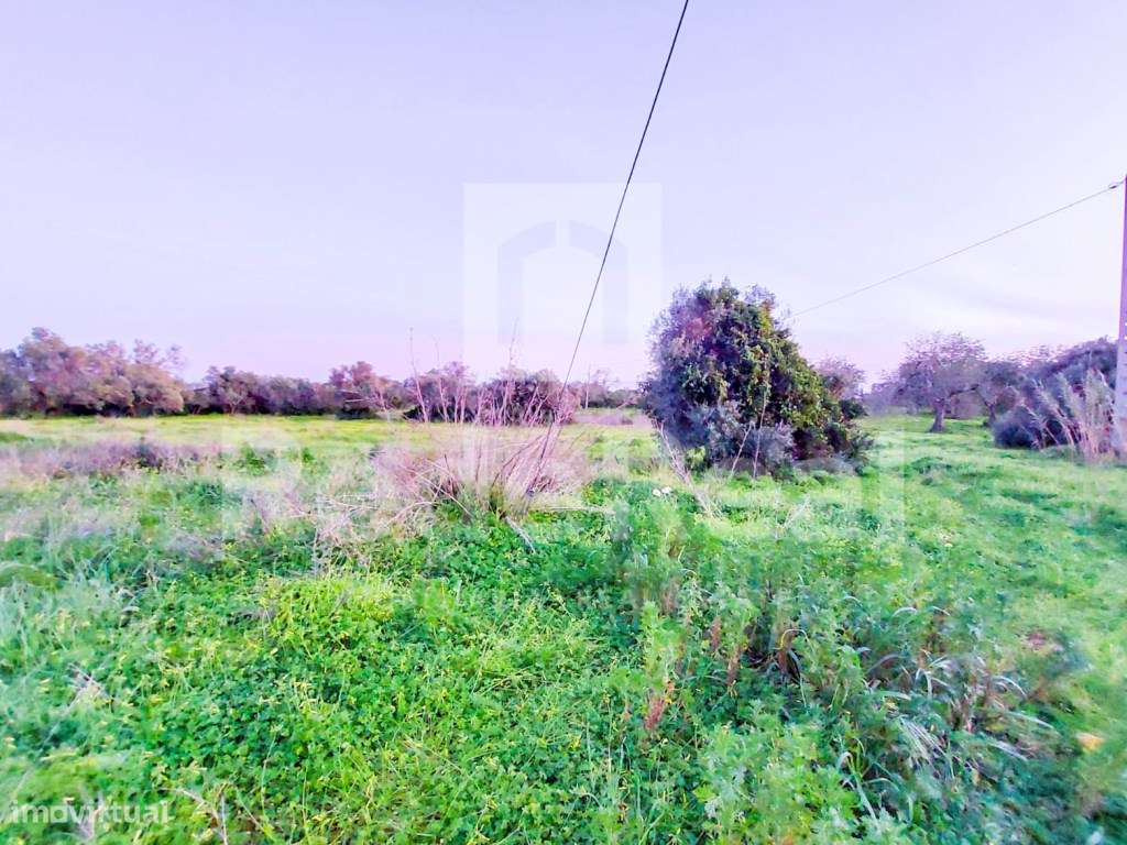 Casa Antiga T3 Venda Faro-14