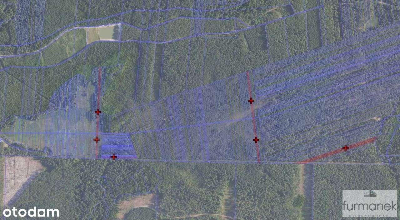 Działki o pow. 1,6 ha w gm. Biłgoraj - Pełny obrazek: 5/5