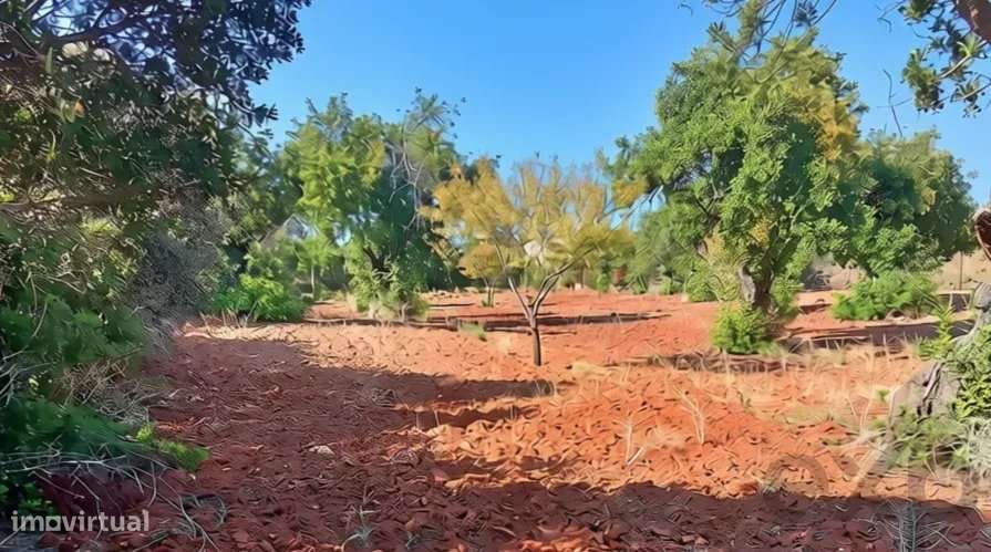 Terreno rústico plano com 4240 m2 no Algarve-13