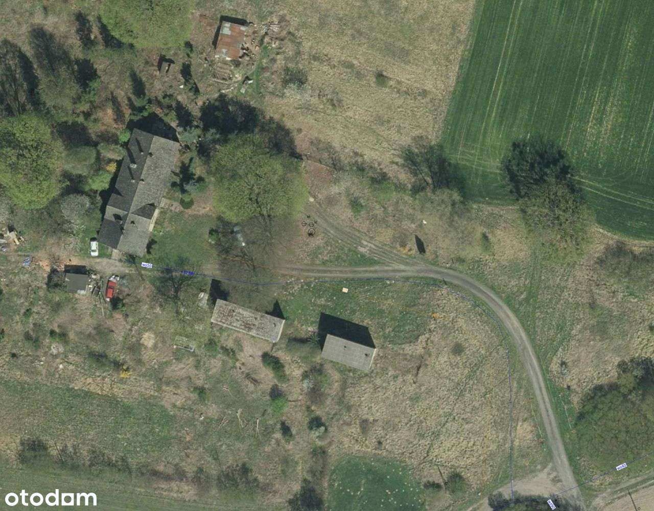 Sprzedam siedlisko i działki leśne - Pełny obrazek: 4/13