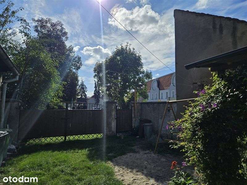 Gotowe Do Wprowadenia Przy Rynku !!!-7