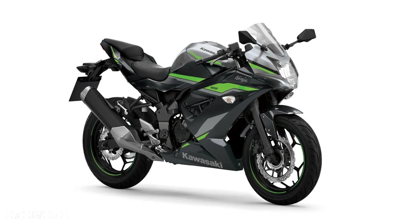 Kawasaki Ninja - 2