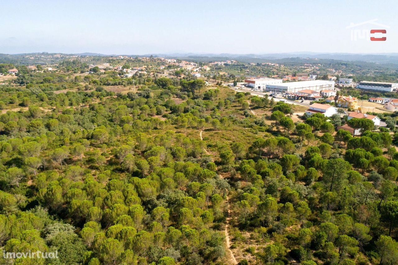 Terreno rústico com área total de 18.920 m2 próximo cidade de Tomar