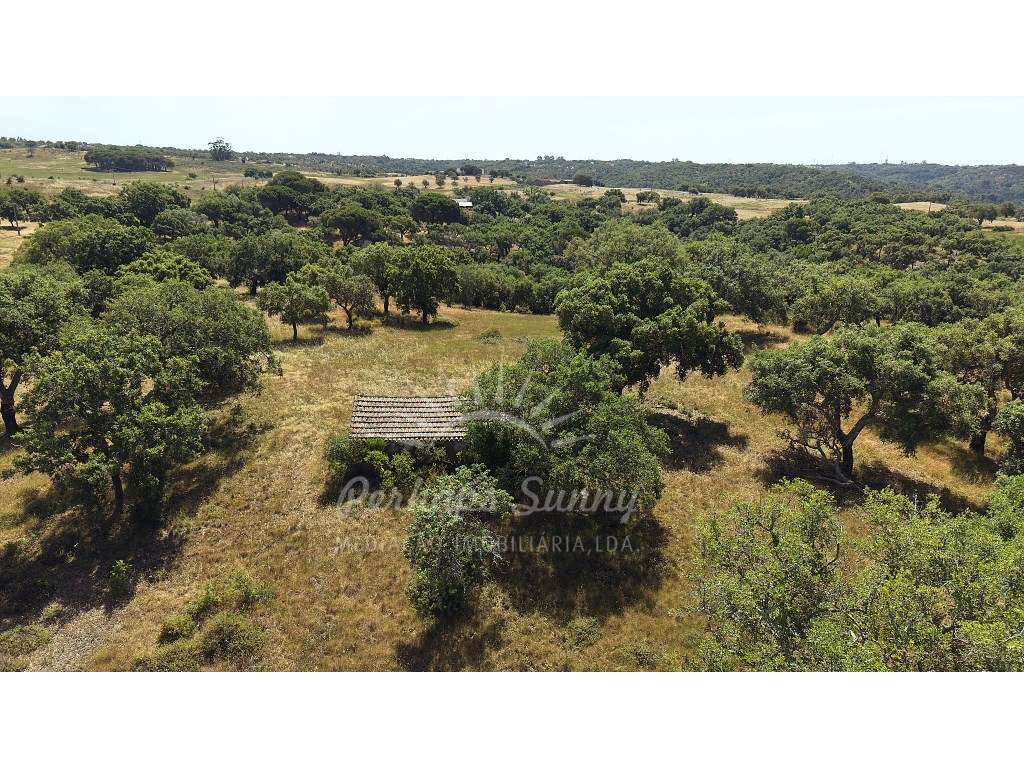 Terreno Misto - São Francisco da Serra - Melides-30