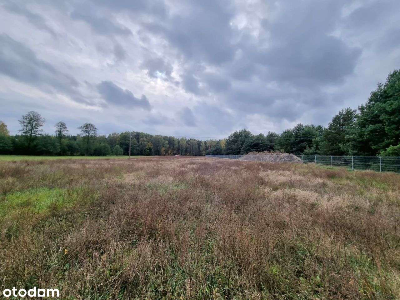 Atrakcyjna działka przy lesie 20 min od Bydgoszczy. Warunki zabudowy. - Pełny obrazek: 4/4