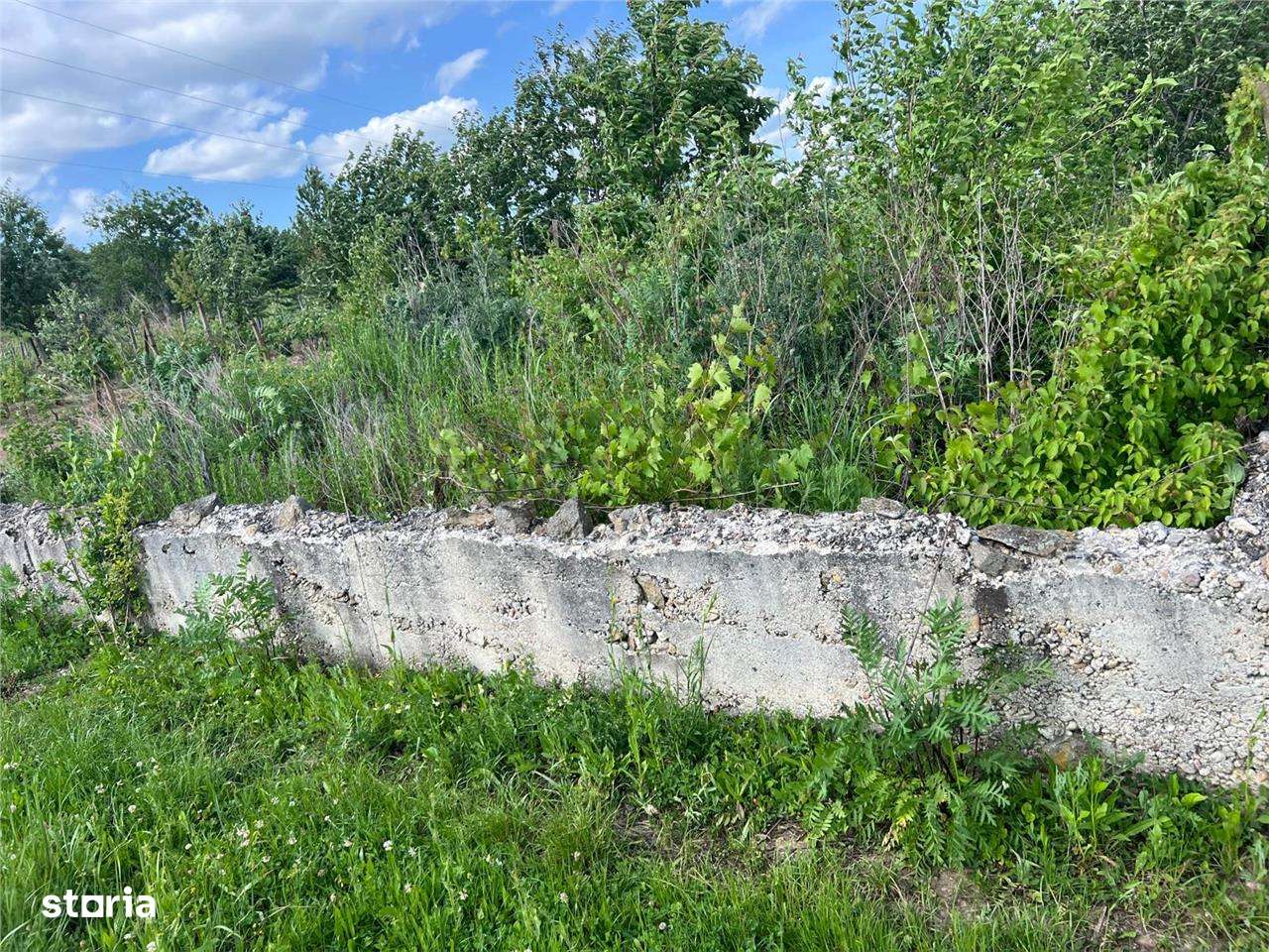 RECO TEREN CU FUNDATIE IN PETREU - Imagine principală: 2/3
