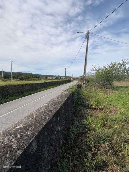 Quinta 67.000 m² | Braga (10 min do centro) | EN205 - Grande imagem: 5/12