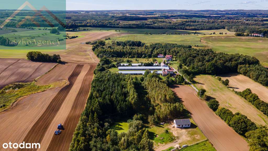 Rychnowo. Działki przy lesie z warunkami zabudowy.-6