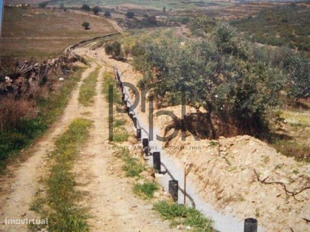 Herdade Montinho do Pascoal - Grande imagem: 5/34