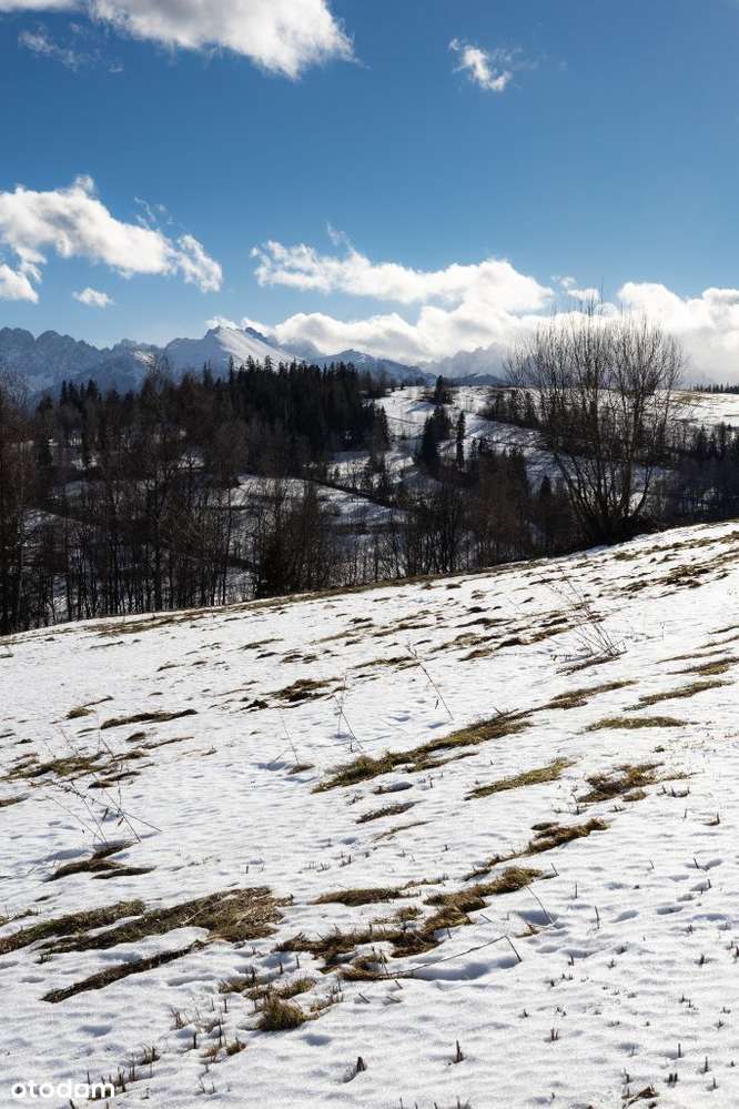Działka na wzniesieniu z widokiem na Tatry.