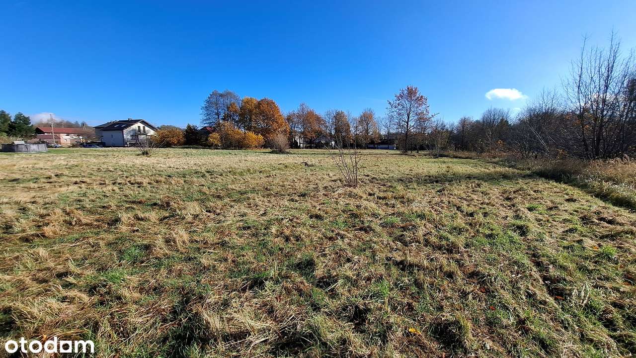 Spokojna okolica, możliwość podziału-15