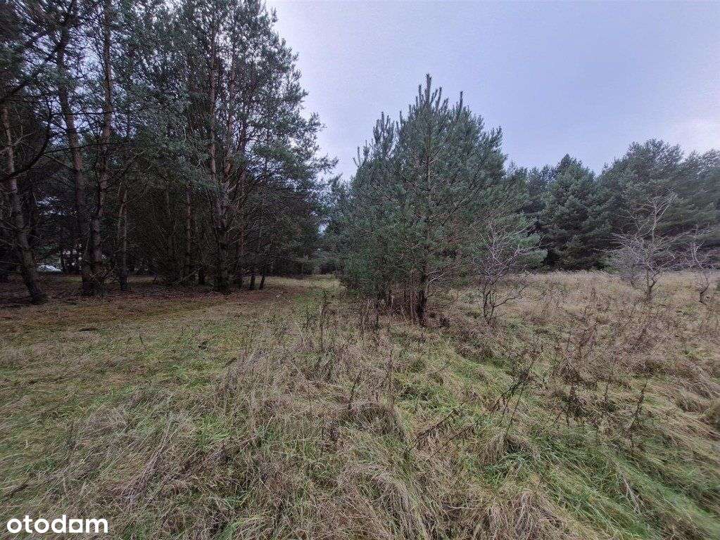 Letniskowa, Mpzp, woda i prąd, 400 M j. Chłop-2