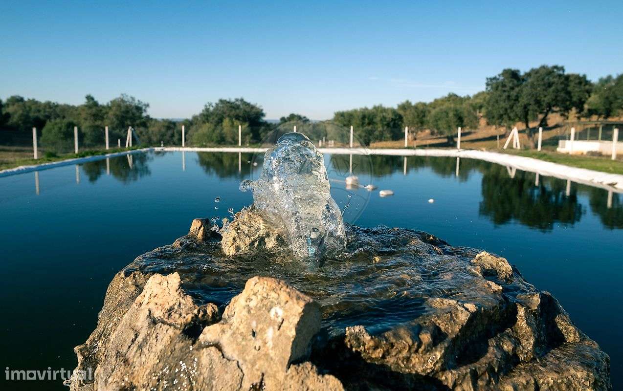 Quinta T10 para venda-49