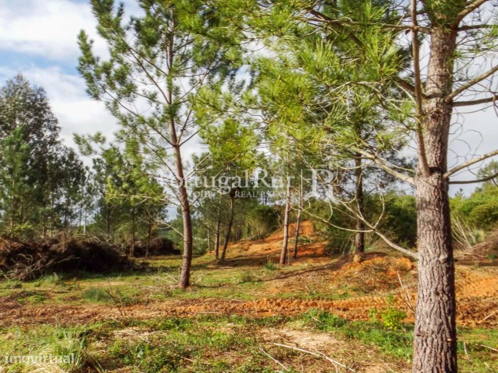 Terreno em Quinta da Sardinha - Grande imagem: 5/13
