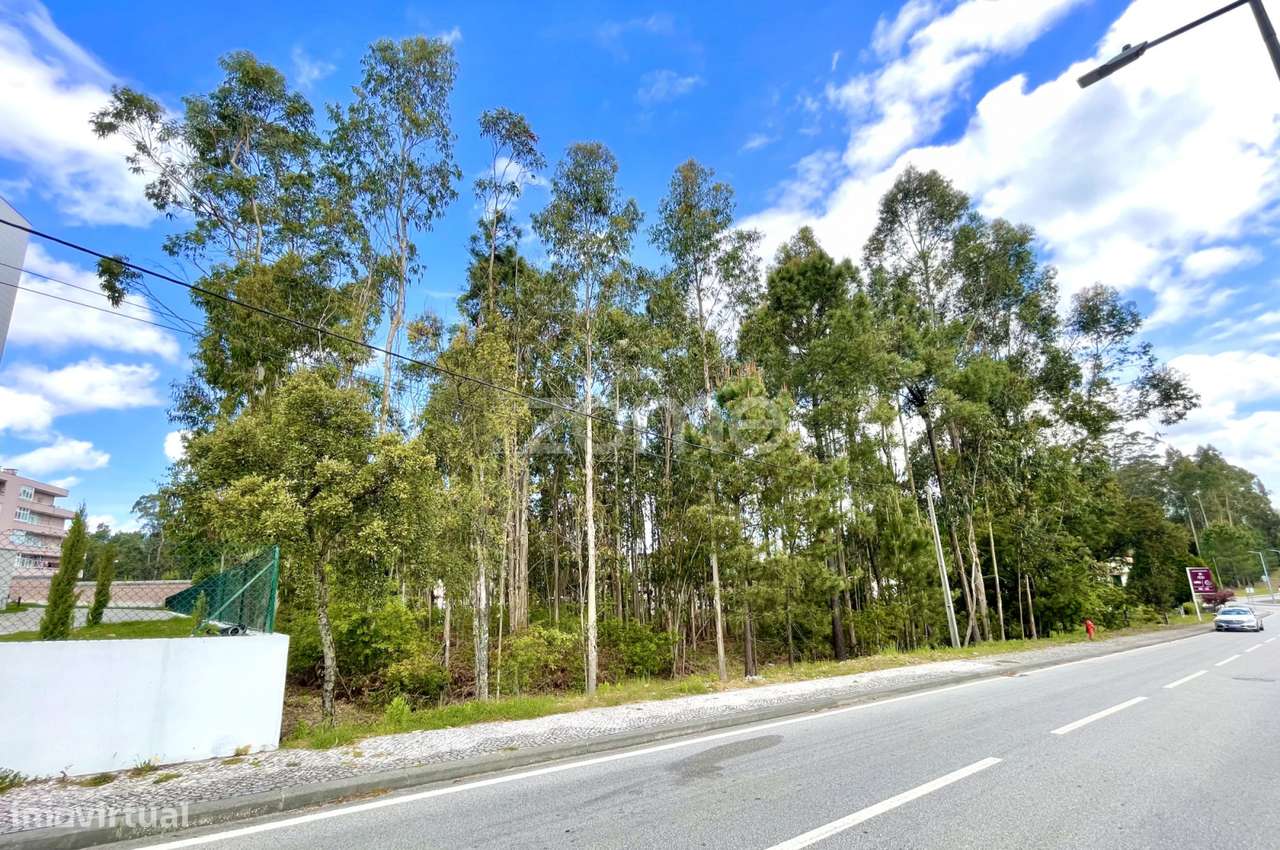 Terreno para construção com 2.450 m2, em Cesar (OAZ) - Grande imagem: 4/15