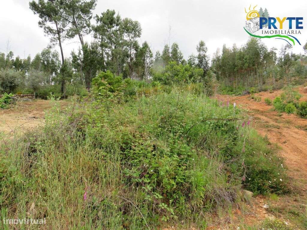 Pequena quinta a confinar com a Ribeira situada perto de Oleiros-34
