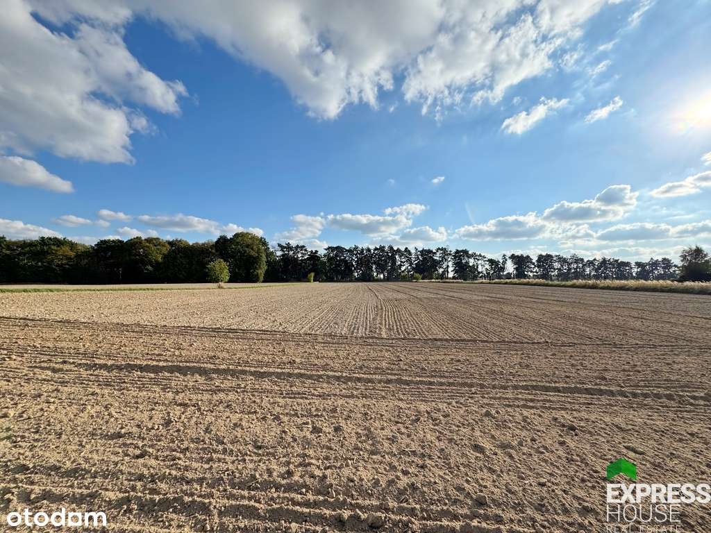 Zamieszkaj przy wyjątkowym wąwozie lessowym! - Pełny obrazek: 4/15