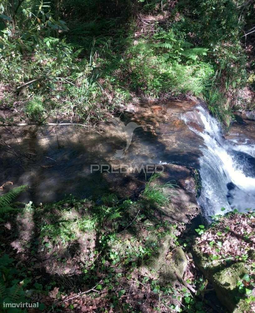 Azenha encantadora no coração da natureza — refúgio único junto à água - Grande imagem: 2/12