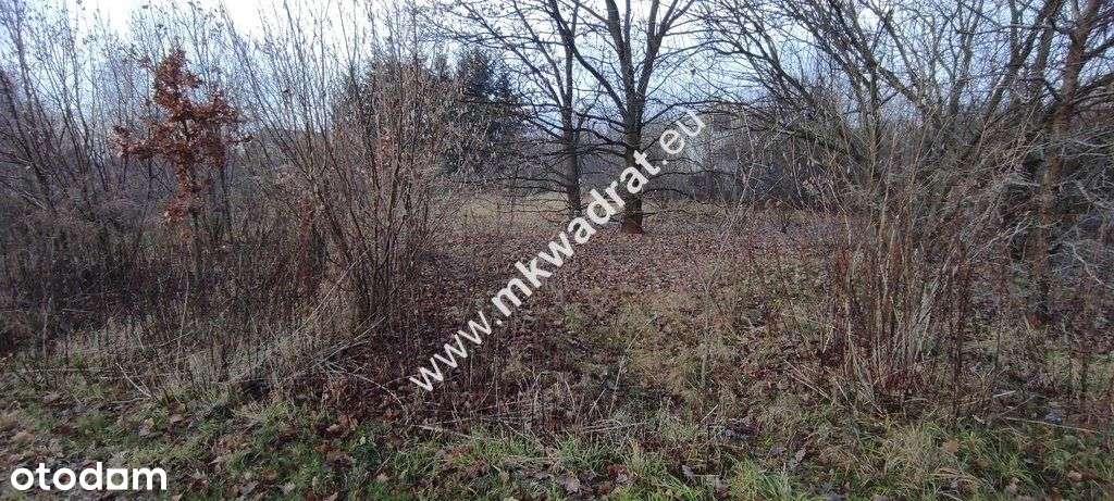 ⭐⭐⭐⭐ Działka Budowlana 4851 M Budy Grzybek ⭐⭐⭐⭐-9