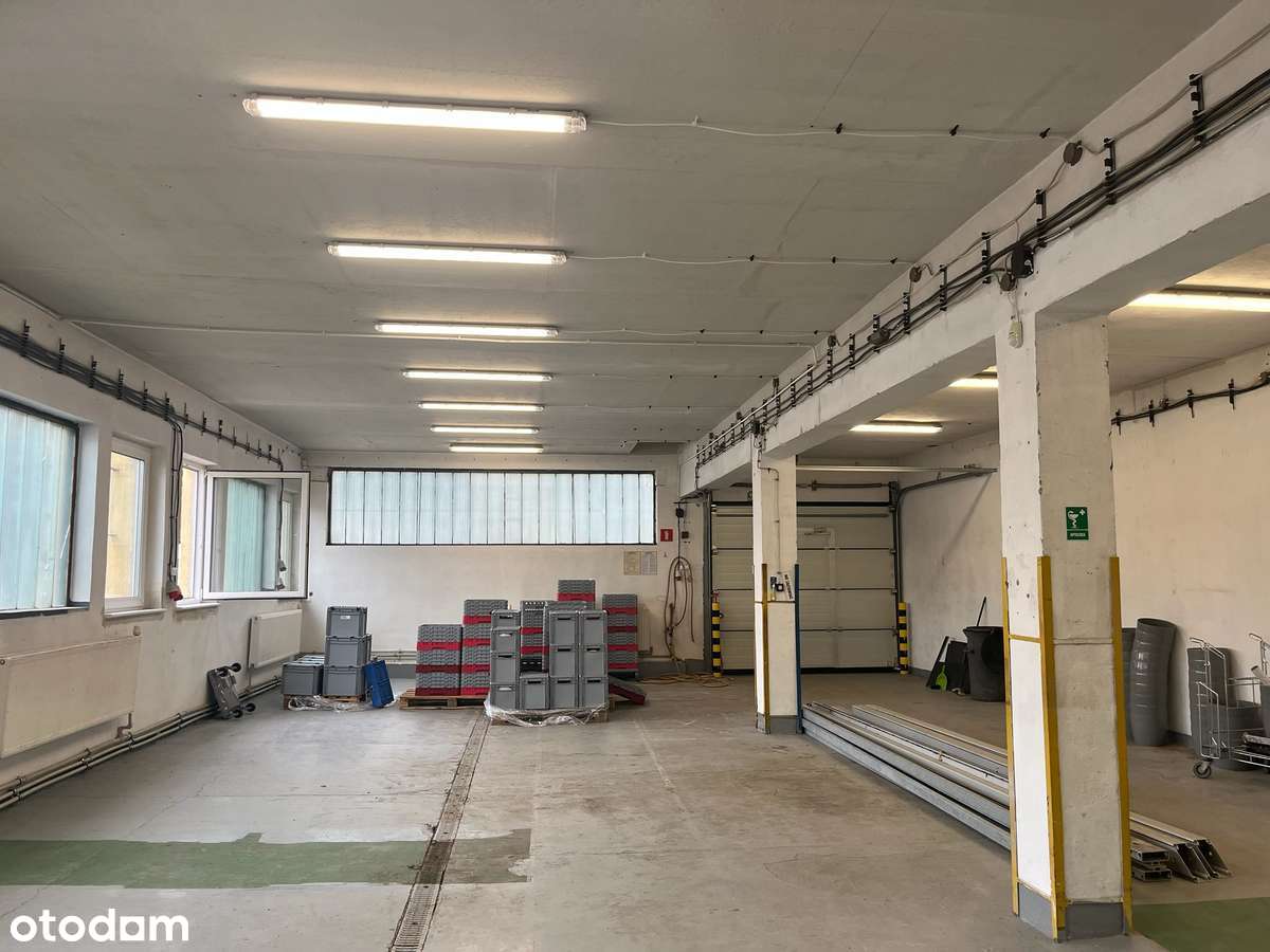 Hala: magazyn, produkcja, handel, ogrzewanie, super lokalizacja - Pełny obrazek: 1/3