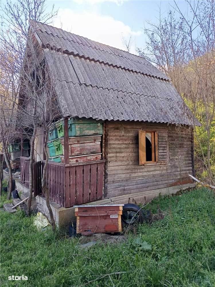 RECO TEREN GENEROS CU CABANA - Imagine principală: 2/9