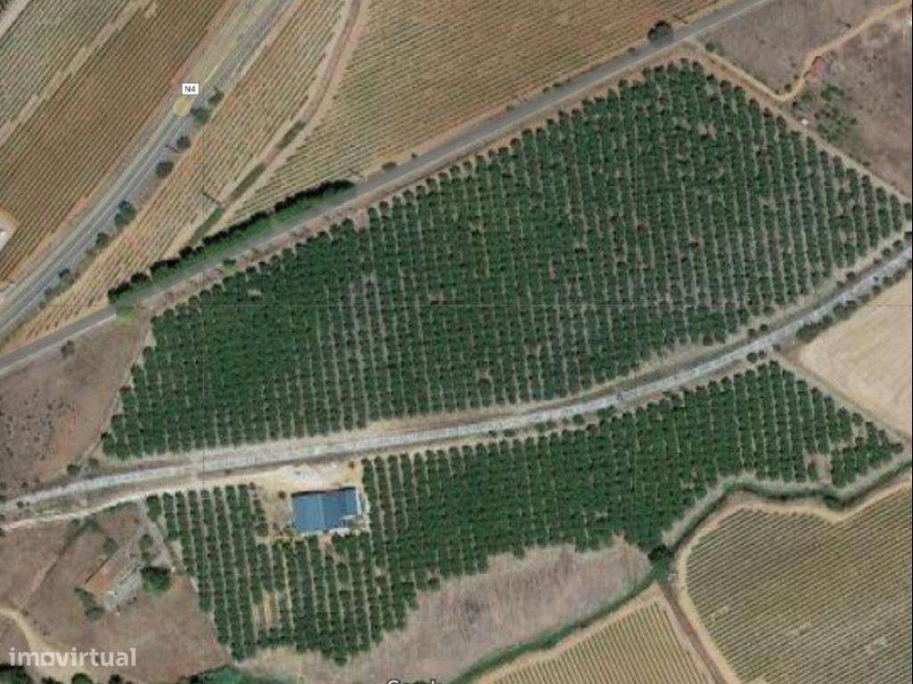 Estremoz Évora herdade 4ha com armazém de 600m2. Bom Investimento-11