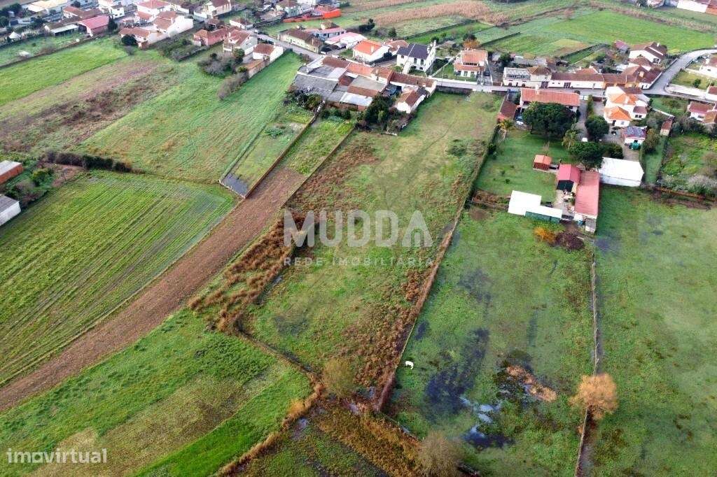 Terreno Rústico com Potencial de Construção – Perto do Centro de Estar - Grande imagem: 5/7