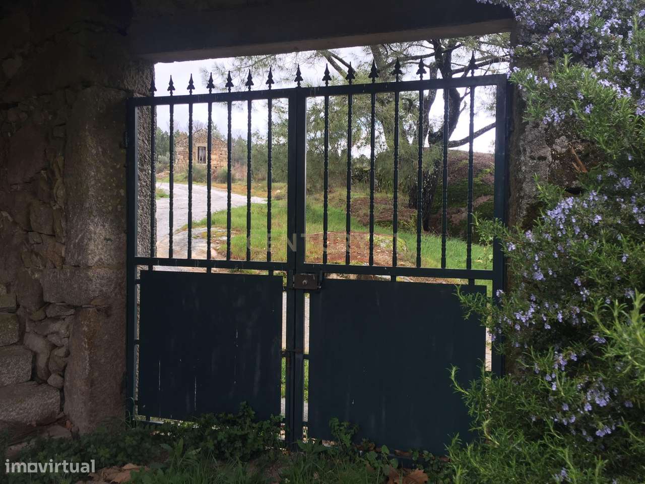 Moradia isolada em Pedra - Penalva do Castelo - Grande imagem: 5/17