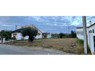 Lote de construção|| Terreno || Vila Nova ||Tomar