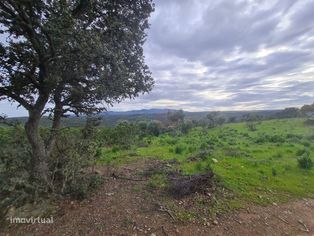 Terreno junto ao Tejo em Castelo Branco - Grande imagem: 3/15