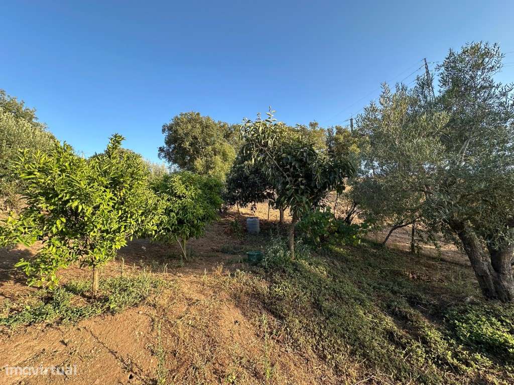 Monte Alentejano com 3,4 ha de natureza e potencial turístico-39