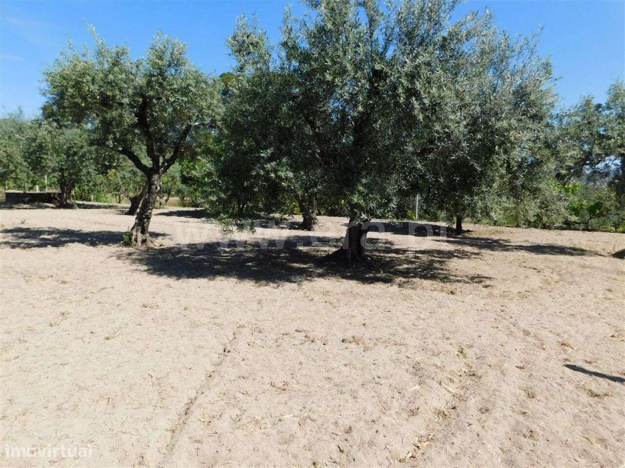 Terreno / Fundão, Póvoa da Atalaia - Grande imagem: 5/20