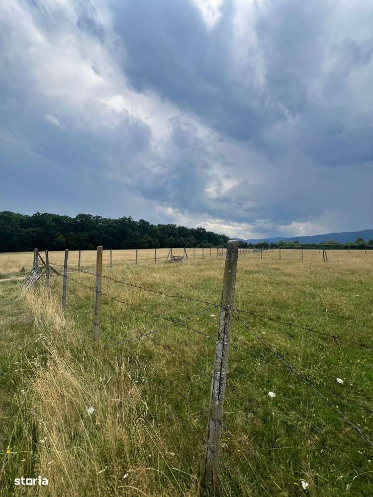 Teren extravilan Cisnadie, Str. Selimbarului – 2.380 mp - Imagine principală: 4/6