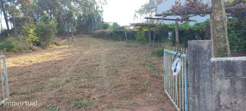 Terreno de construção 1600m2 - Grande imagem: 4/4