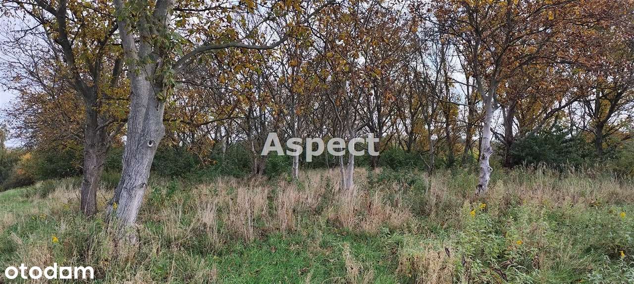 Łańcut działka budowlano-inwestycyjna 4189 m2 z W - Pełny obrazek: 5/5