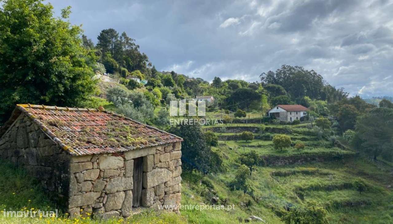 Venda Terreno, São Lourenço do Douro, Marco de Canaveses - Grande imagem: 5/32