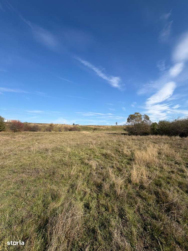 Teren, 2 900 m², -4