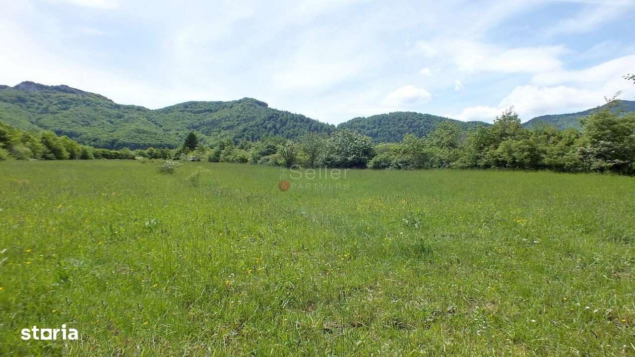 Teren Intravilan - Pretabil Investitie - Imagine principală: 2/7