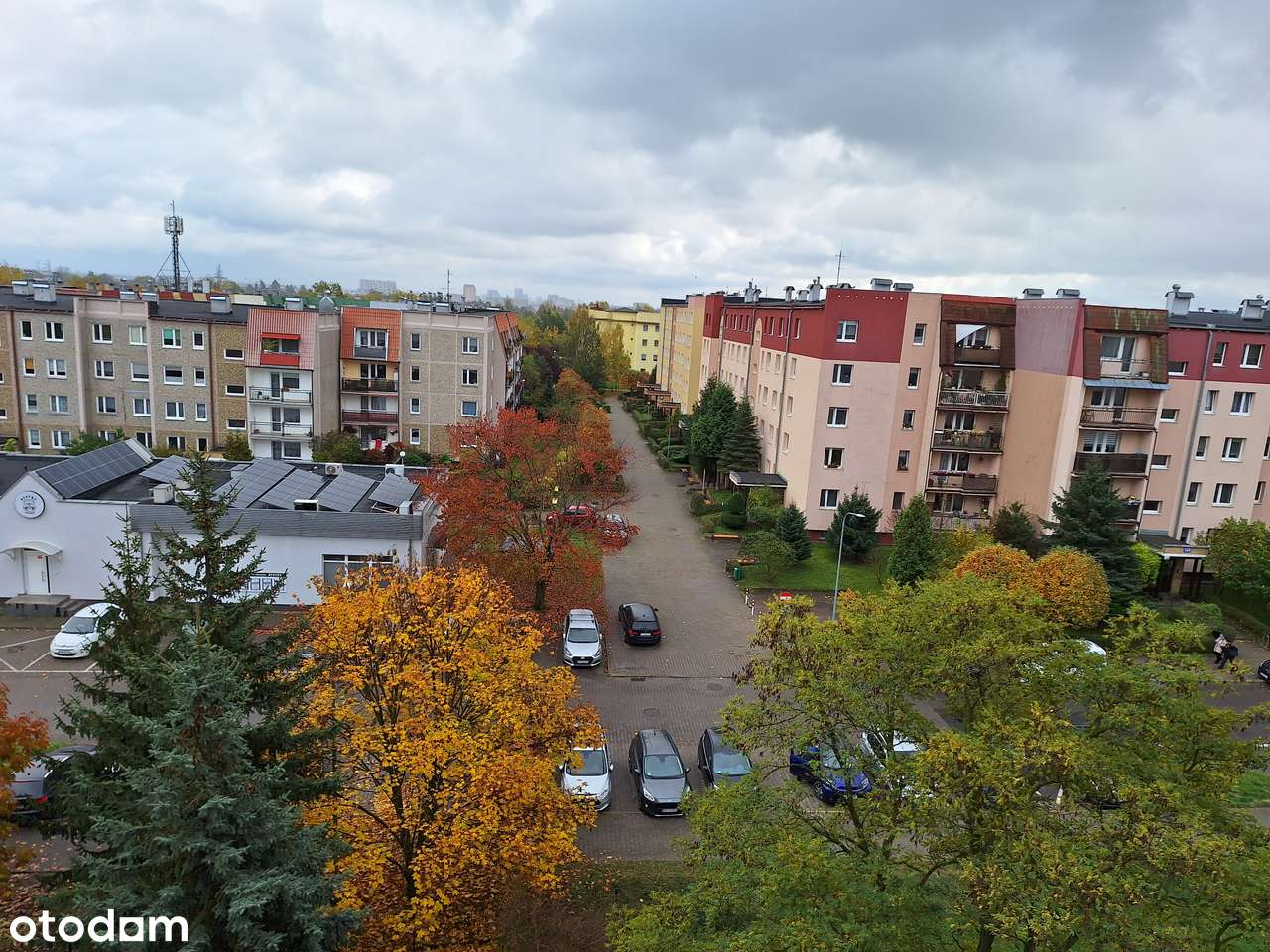 Mieszkanie, 36,50 m², Poznań