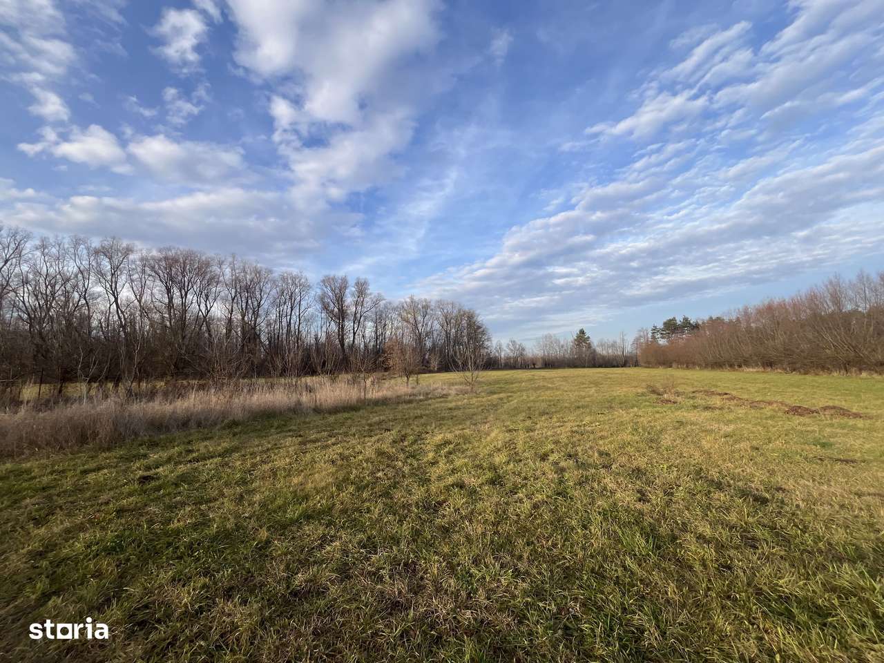 TEREN INTRAVILAN GENEROS | 72 ARI | GALANESTI - Imagine principală: 2/11