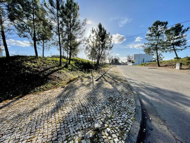 Terreno Urbano P/ Construção II 5 min de Condeixa-A-Nova-4