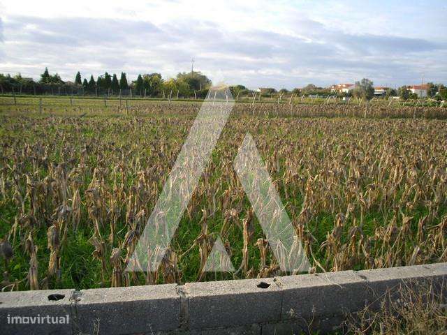 Terreno nas Quintãs, Oliveirinha - Grande imagem: 2/3