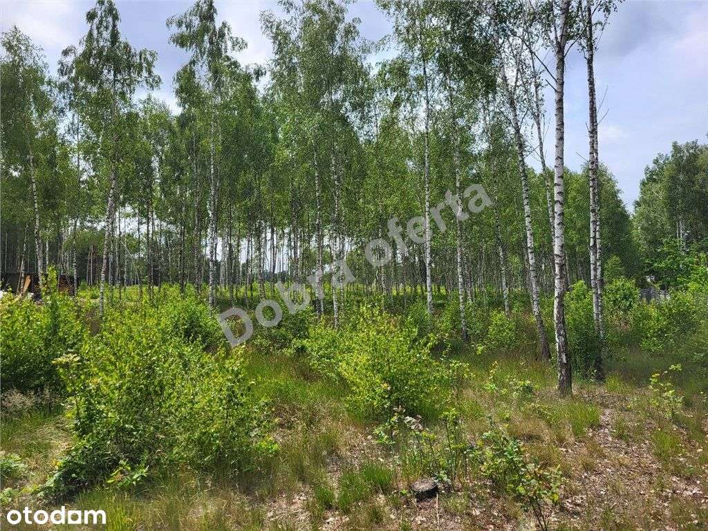 Nowa oferta - dobra cena - miejsce na wypoczynek-10