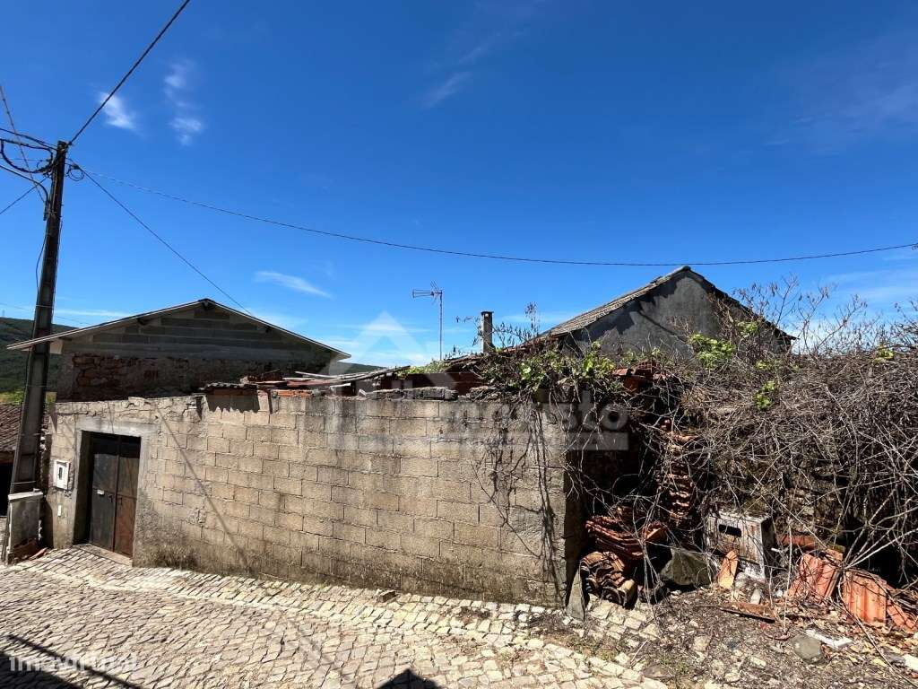 Moradias T4 e T0 em Figueiró dos Vinhos - Grande imagem: 4/40