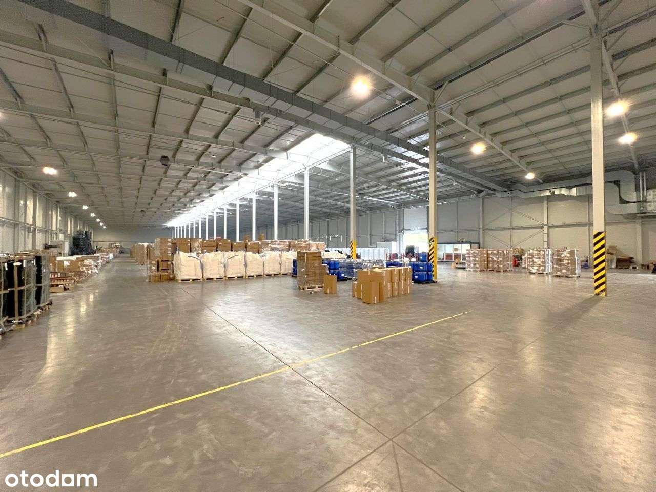 Hala produkcyjno magazynowa 7000m2 wynajem Dębica - Pełny obrazek: 5/11