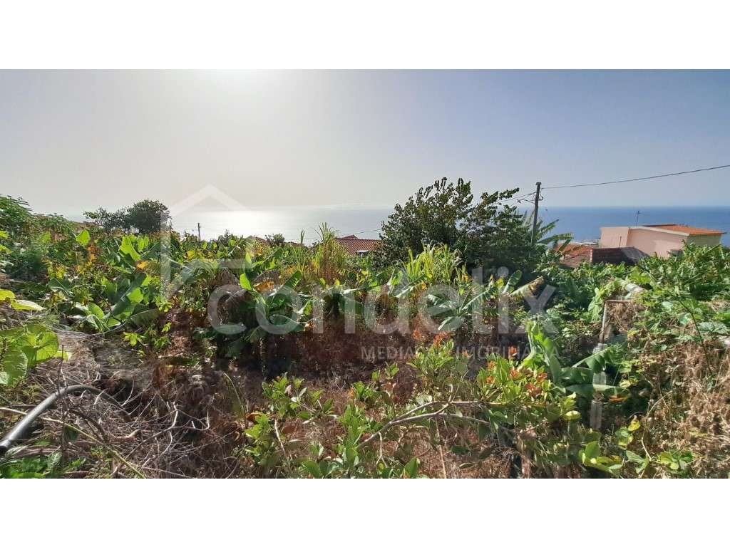 Terreno em Santa Cruz com vista mar - Grande imagem: 4/13