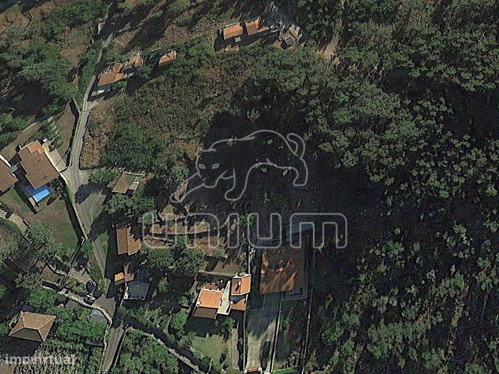 Terreno em Afife - Grande imagem: 2/9