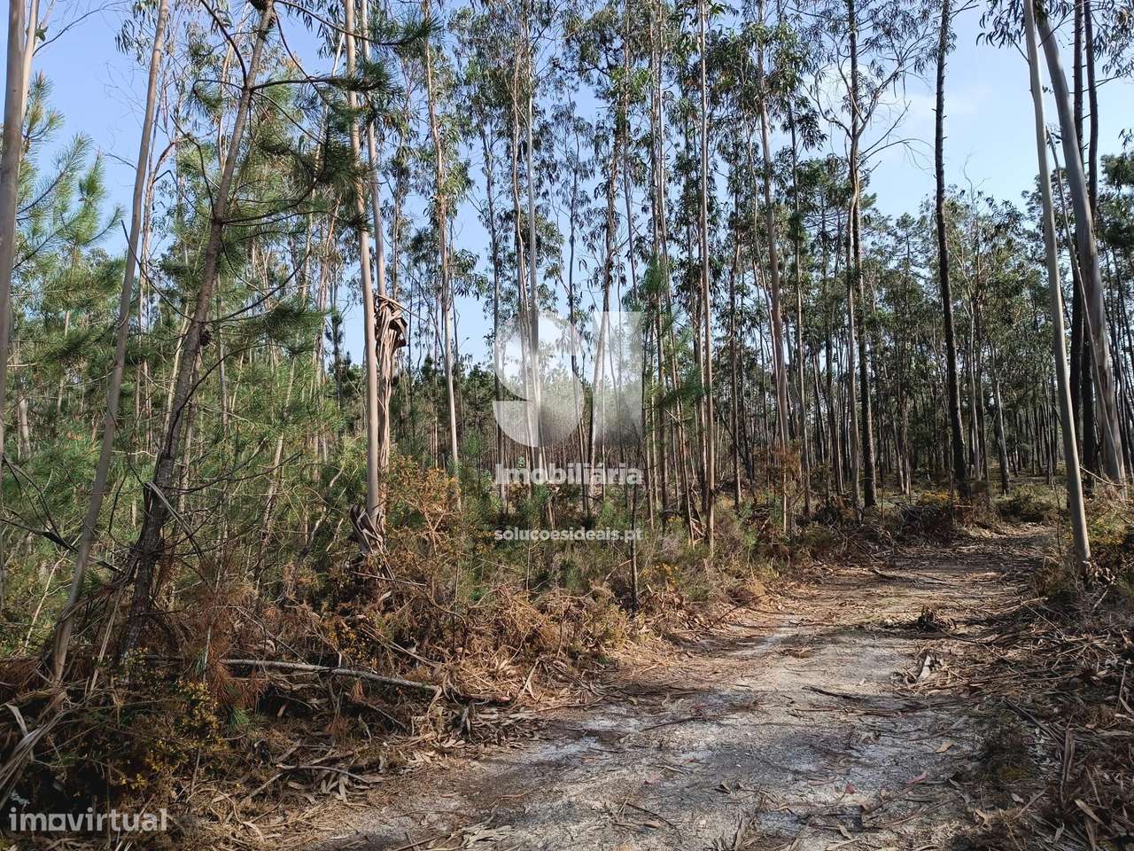 Vende Terreno - Grande imagem: 3/5