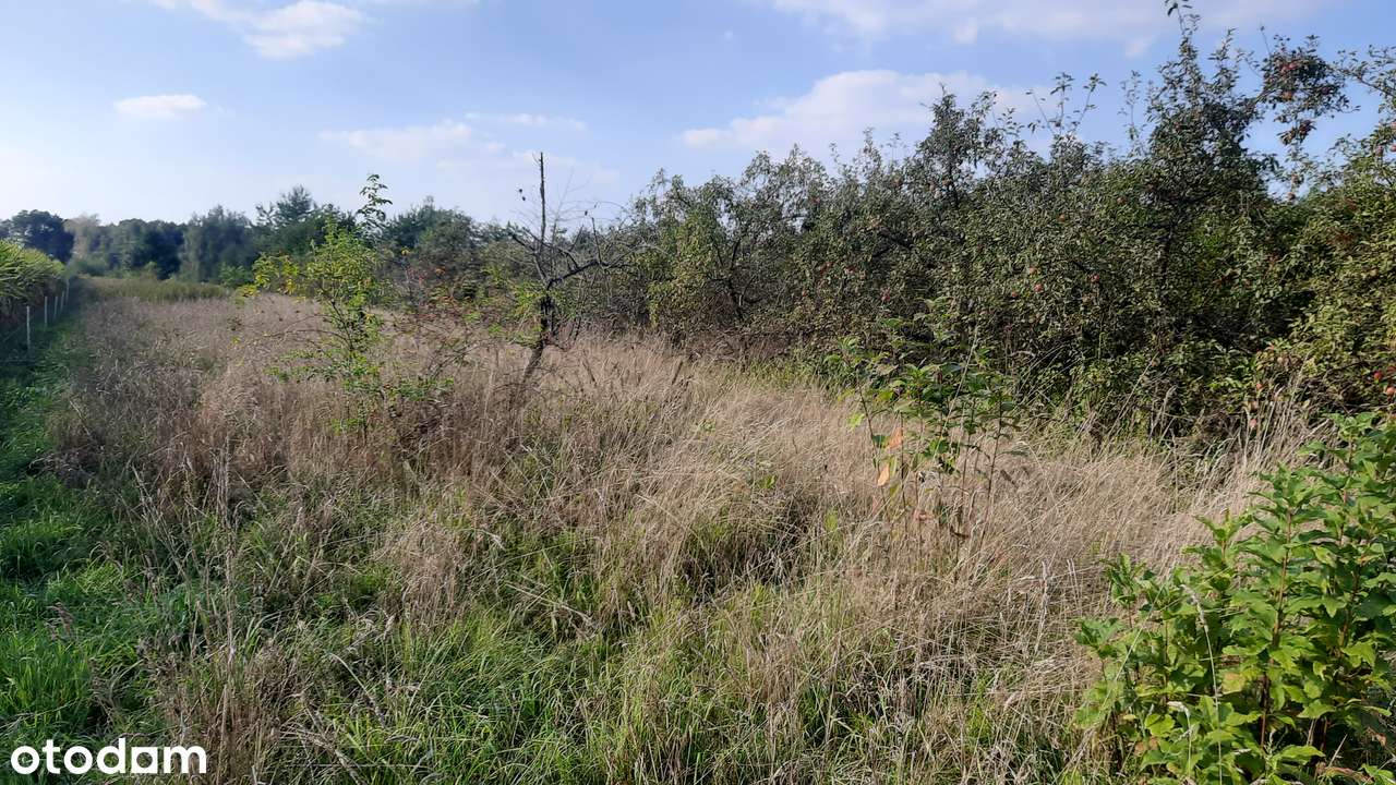 Działka pod zabudowę wielorodzinną i jednorodzinną - osiedle.-1