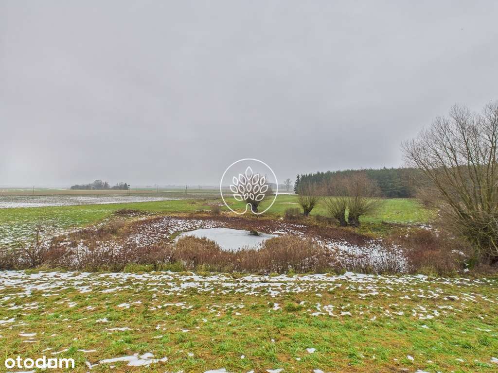 Gospodarstwo Pędzewo-16